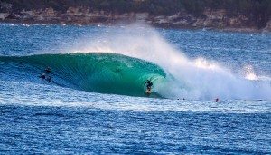 Greg 'OX' McKinley surfing Sydney's Shark Island